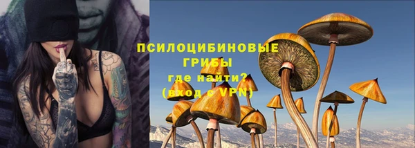 дживик Саяногорск