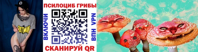 Купить закладки  Ленинск  Псилоцибиновые грибы мицелий 